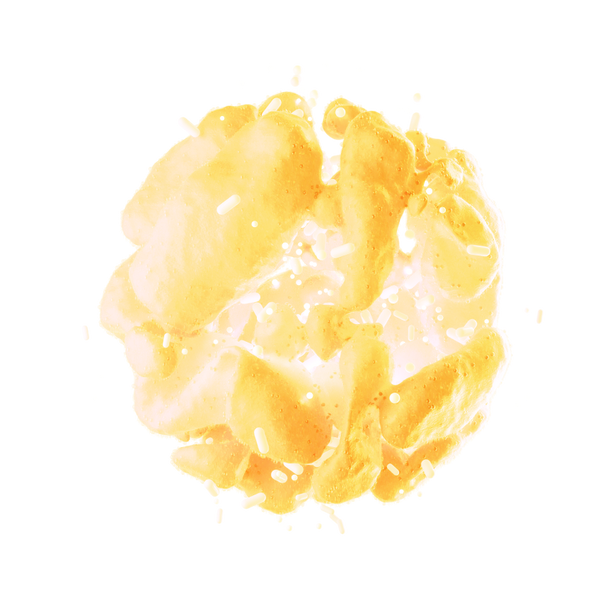 SNZ 1969™ (BACILLUS COAGULANS)